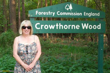 Crowthorn Woods
